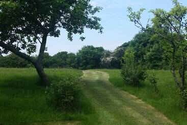 住宿加早餐  Rosmerryn