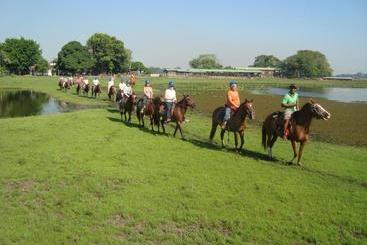 هتل Lontra Pantanal