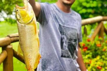 هتل Lontra Pantanal