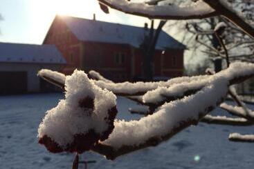 بنسيون Penzion Zoja