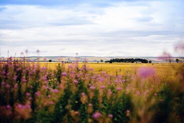 Сельский дом Delny Glamping