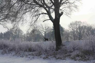 膳宿费 Gutshof Zum Adlernest