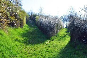 ペンション Hofgarten Rosa