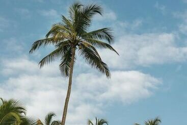 ユースホステル Masaya Tayrona & Beach Club