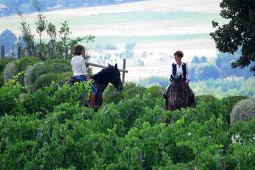 호텔 Castello Banfi   Il Borgo   Relais Et Chateaux