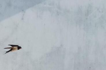 膳宿费 Al Casa Das Andorinhas