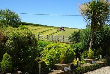 Yr Hen Felin The Old Mill B&b