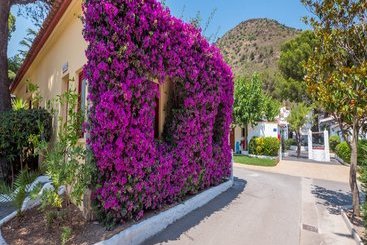 Ciudad De Vacaciones Cala Montjoi