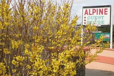 هتل Alpine Guesthouse