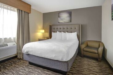 ホテル Best Western Plus Peppertree Airport Inn