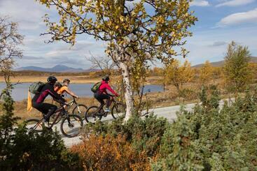 בית מלון כפרי L Bruksvallsliden