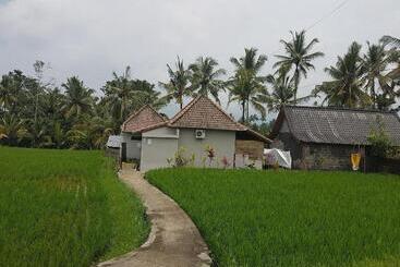 住宿加早餐  Buda Cottage Ubud