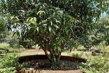 Aranya Kutir Resort   Hostel