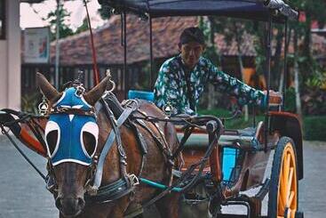 Borobudur Bed & Breakfast Hostel
