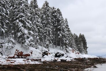 مبيت وإفطار Bluff House Inn