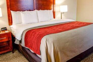 בית מלון כפרי Comfort Inn Bessemer Birmingham South