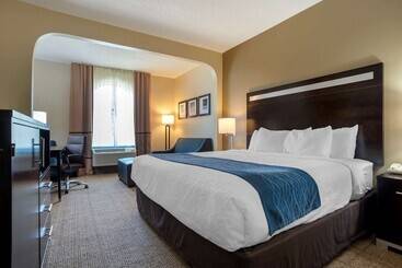 Отель Comfort Inn Greenville I65