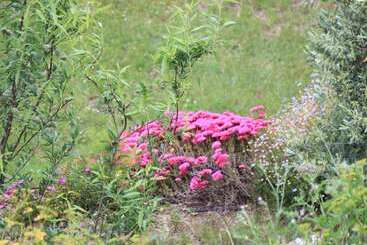 בית מלון כפרי Hôtel Le Niobel   Hôtel De Charme