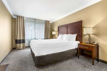 호텔 Comfort Inn & Suites Redwood Country