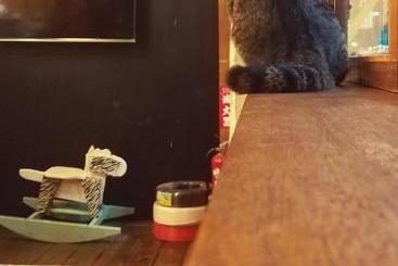 ホテル Awu Hostel