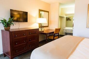 فندق Vista Inn And Suites Tampa