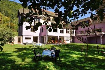 Logis Hotel Des Vosges