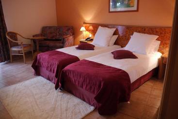 酒店 Hôtel Sud Alsace