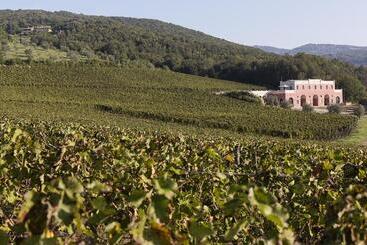 בית מלון כפרי Tenuta Il Sassone   Wine & Food