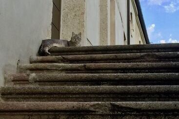 住宿加早餐  Agriturismo Borgo Buzzaccarini Rocca Di Castello