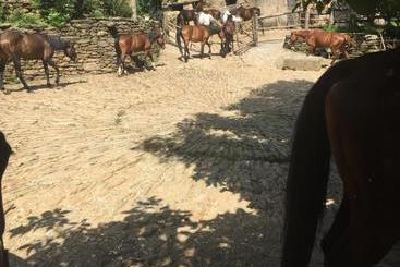 Centro Trekking A Cavallo Monte Brugiana