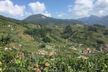 Centro Trekking A Cavallo Monte Brugiana