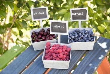 בית מלון כפרי Agriturismo Rossolampone