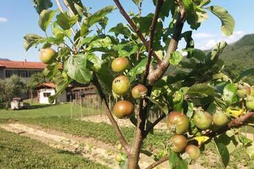 교외 호텔 Agriturismo Cà Del Lupo