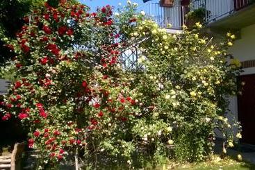 هتل Albergo Antica Dogana