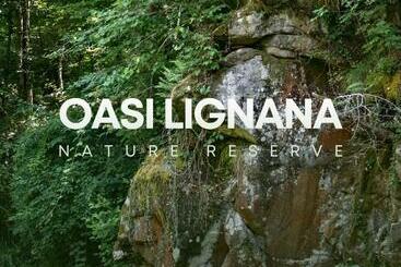 田舎風ホテル Oasi Lignana Apartments