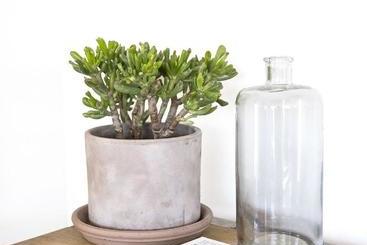 コテージ Iuta Farm