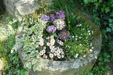 فندق ريفى Agriturismo Podere Il Palagio