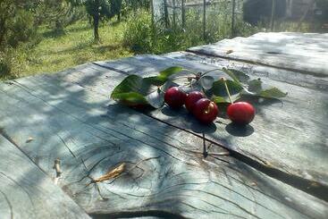 B&b And Wellness Il Pomario Di Montepiglio Resort Naturista