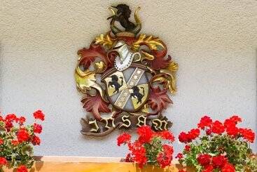 Отель Villa Insam