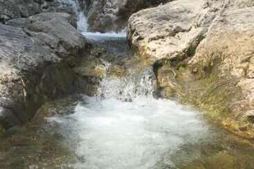 צימר Casa Sakurai