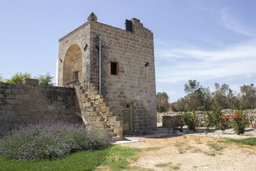 בית מלון כפרי Casina Spiggiano Agriturismo