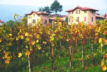 Сельский отель Ricci Curbastro Agriturismo