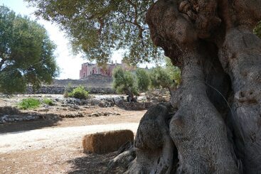 מלון דירות Masseria Spina Resort