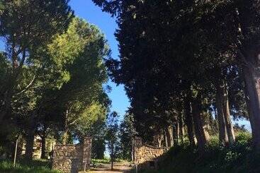 Bed & Breakfast Podere La Pace