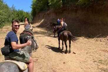 ホテル Palaghiaccio