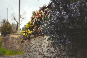 Сельский отель Agriturismo La Collina Toscana