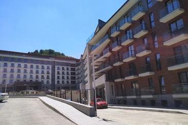 هتل David Apt On Bakuriani Orbi Palace