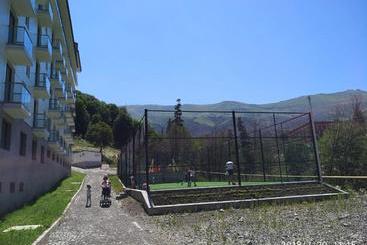 هتل David Apt On Bakuriani Orbi Palace