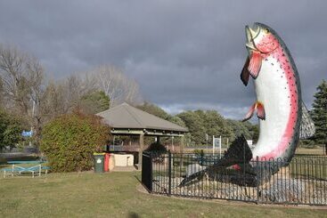 호텔 Selwyn Star Lodge