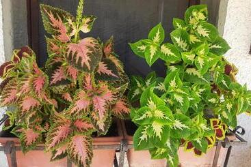 민박 Artenatura Beb